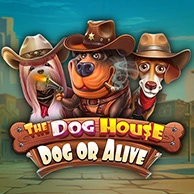 The Dog House - Pies czy Żywy